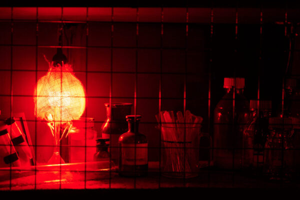 EscapeWorld_Tilburg_Boogyman31383